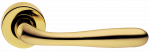 Ручка дверная ﻿RUBINO R3-E OTL золото